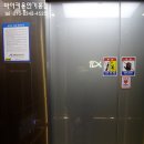 천변자전거도로 | 겨울을 앞둔 오산천, 동탄 자전거 출근 길 풍경