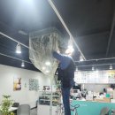 쿡 커피 이미지