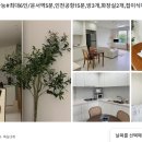 아슬라 스테이 네이버블로그
