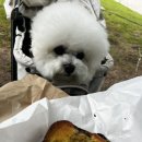 (주)울산포크참한우 | 울산 빵 맛있는 집 엘팡드주 내돈내산 솔직 후기