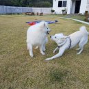 두푸딩하우스 이미지