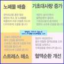 반신욕기렌탈 웰니스 원적외선반신욕기 홈쇼핑인기상품!! 이미지