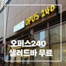 240-운정3-240 | 감이동 맛집 | 하남 파스타 맛있었던 오퍼스240, 샐러드바 무료라 또 가고 싶은 곳
