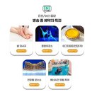 갑천하 이미지