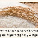 정직마켓 이미지