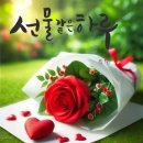 로즈호텔 이미지