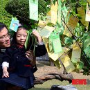 서강어린이공원 앞 이미지