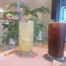 남양 사태감(사자암) | 화성 남양 카페 클로버 방문 후기 도서관 근처 카페 추천