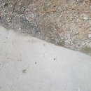 청담힐스아파트 | 미사 아파트 주차장 부서진 카스토퍼 교체 주차블럭 설치