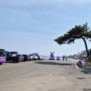 1004섬 박지도 민박 | [신안] 퍼플 섬(feat. 짜증이 있는 하루/2026.03.28)