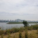 을숙도 생태공원 이미지