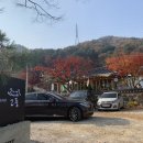 깊이울달빛캠핑장 - 1006 | 깊이울달빛캠핑장