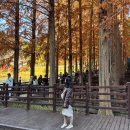 도덕중앙경로식당 | 충청북도 :) 청주 가볼 만한 곳 청남대 예약 방문 후기