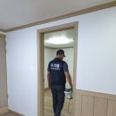 더치움 이미지
