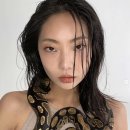 인스타 티스토리