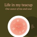 티아포테카(tea apotheca)