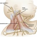 서부신세계영상의학과의원 이미지