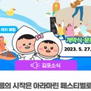 아라다이브