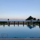 수영농장 이미지