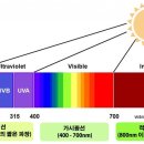 라이트테라피