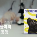 베이직솔루션