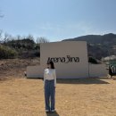 경주 감포 문무대왕릉 대형 카페 아레나피나 아이랑 방문한 솔직후기