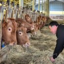 김선태농장 이미지