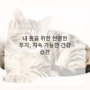 편안몸한의원 이미지