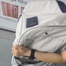 박효리군동물병원 | 예신과 함께4편 인천동물병원(고양이추천)