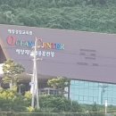 식이네 Daum카페