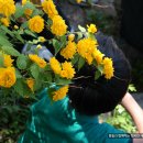 개미환경자원 이미지