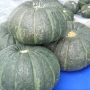 참살이푸른농원 무농약밤호박 이미지