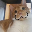 주댕이네
