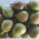 영오농장 이미지