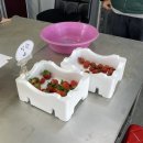 오창농장 이미지