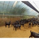 고창부안축산업협동조합섬유질사료공장 이미지