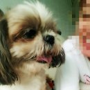 예일동물병원 이미지