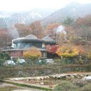 이양초등학교 이미지