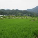 버스정류장 07-136 이미지