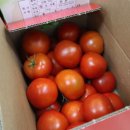 익산원예농협 로컬푸드직매장 이미지