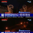임소초 이미지