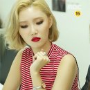 무무꽃 이미지