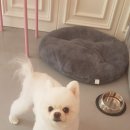 러블리멍 이미지