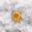 엔분의일 티스토리