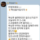 왁싱술사