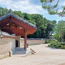 복(伏)날의 그림자인가 이미지