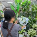 삼성꽃화원 - 양산시 북정9길 2 | 삼성꽃화원
