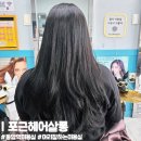 동암역 | [인천] 부평구 동암역미용실 애견 동반 가능 '포근헤어살롱' 여자 전체 염색 후기