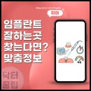 해제치과의원 | 용인 임플란트 잘하는 곳 찾는다면? 노인 전용 맞춤형 장치와 당일 무절개 무통 진행으로 틀니 불편함 해결