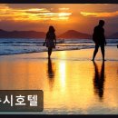 폭시호텔 네이버블로그